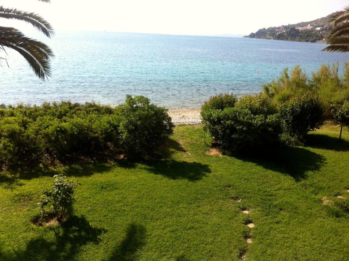 Lefkada Beachfront Apartment ニキアナ エクステリア 写真